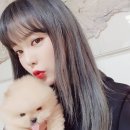 총총 이미지