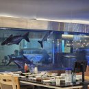 바다품은집 | 진주 하대동 대방어 맛집 바다품은식당 내돈내산 후기