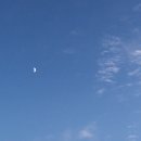 온도르프 이미지