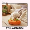 당근이협동조합 | 강아지 지능발달 놀이 찾는다면? 당근 노즈워크 솔직후기