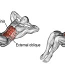 크런치핏 이미지
