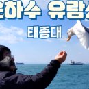 주식회사 은하수