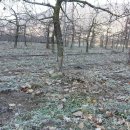 뉴한길공인중개사사무소 이미지