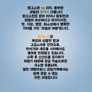 무지개농장 | [아라몰] 태국 과일 3종 완전정복! 골드망고, 무지개망고, 망고스틴 항공직송&amp;할인판매&amp;무료배송