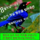 8월 인사글 이미지 이미지