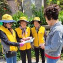 괴정승학 이미지