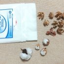 목화약국 이미지