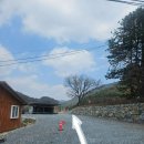 무릉도원면-43 이미지