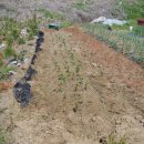 햇살그린농장 이미지