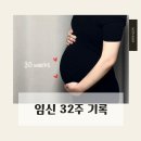 임신 32w | 내가 벌써 9개월 임산부 ?! | 스튜디오 만삭촬영 | 세종 백일해 제일 저렴한 병원 | 고민...