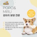 포포 데이케어 네이버블로그