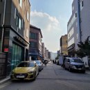 펠레테리아 | [VIP오픈런이벤트] 펠레테리아 푸셀라 카프스킨 팔찌 착용후기(하이엔드명품 탑 디자이너 산드로)