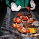 앤디투어 이미지