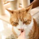 토토미용실 이미지