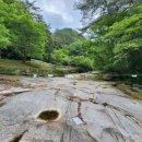 용대농장 이미지