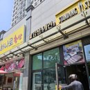 김쌤애견 | [서울 마포구] 용산 공덕 애견미용 : 김쌤애견 단골 된 후기!