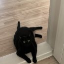 APO대구 | 더워죽을 7월