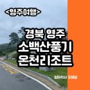 소백산풍기온천리조트 | 아이와 함께한 소백산풍기온천리조트 스위트룸 내돈내산 리얼 후기 (온천 및 연화정 조식 후기 포함)