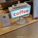 디카프리 완산 이미지