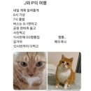 가디플랜 | W01. 웨딩밴드 탐방기(디플랜 다이아몬드 in 종로)