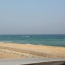 사천의밤 이미지