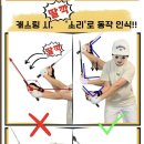 스윙밸런서