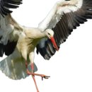 세종시민체육관 체육관 | 세종시민체육관 수강 신청 방법 완벽 정리