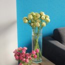 플라워봄 이미지