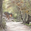 개인(박정자) 이미지