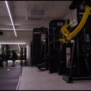 바디건강 이미지