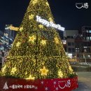 쾌락순응. 톨스토이 이미지