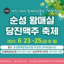 순성 왕매실 &amp; 당진 막주 축제(23일~ 25일) 이미지