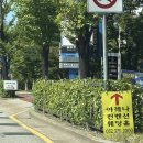 도화초등학교 | (w-5💍)아레나파크 웨딩홀 베뉴투어 후기(주차장&amp;위치)