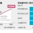 미개척지2