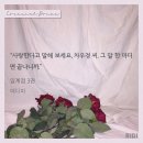 에디파 이미지