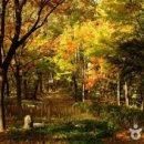 강남-214 이미지