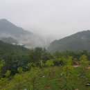 함양네파 이미지