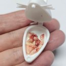 케어덴 동물치과&내과병원 이미지