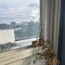 삼오민박 | 제주 감성 숙소 추천｜분위기 좋은데 가성비까지 완벽 내돈내산