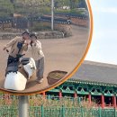 멍스월드 | [경북 경주] 경주 2박 3일 여행, 2일차 여행지, 맛집 일기💚 경주월드, 멍스쿠터 후기