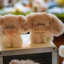 멜팅슬로우(Melting slow) 이미지