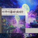 광양시피견인차량보관소 | 아쿠아플라넷여수 : 입장권 할인 팁부터 주차정보까지, 볼거리 넘치는 여수 아쿠아리움 내돈내산 솔직후기