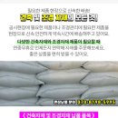 지성조경 이미지