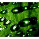 구슬치기 이미지