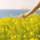 단한의원 이미지