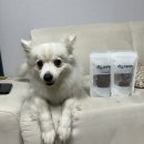 바른멍쿡 이미지