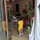 효자어린이공원 | 초여름 육아 / 응애침대 / 백순대 / 삼륜자전거 후기