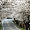 강변로4(동) 이미지