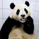 행복배웅 이미지