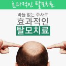 퓨네이처 이미지